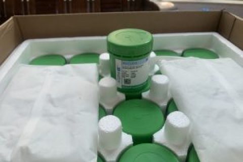 Alpha焊錫膏OM-340